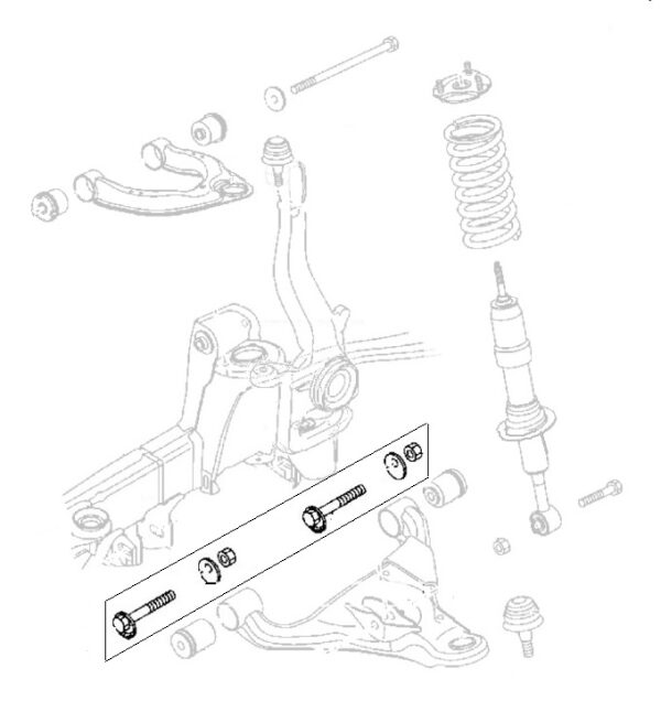 Front Lower Wishbone Camber Bolts