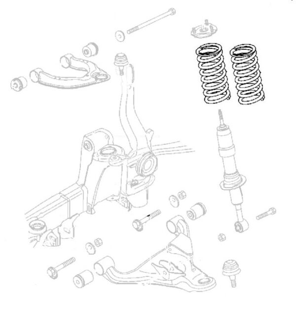 Front Coil Springs (Pair) 2012->2019