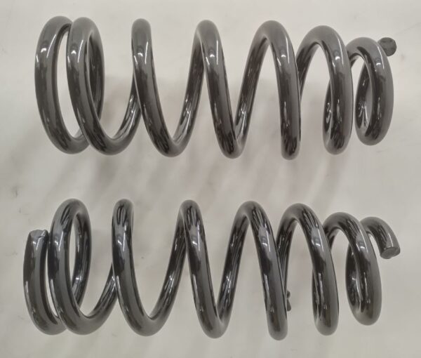 Front Coil Springs (Pair) 2019->2023