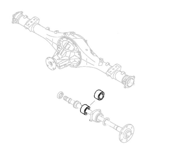 Rear Wheel Bearing