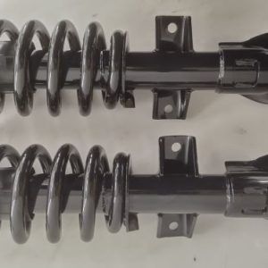 Front Assembled Coil Spring Struts (Pair) 2010->2022