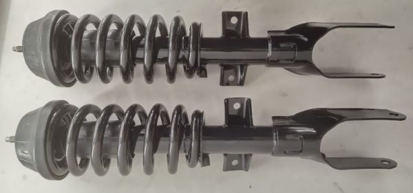 Front Assembled Coil Spring Struts (Pair) 2010->2022